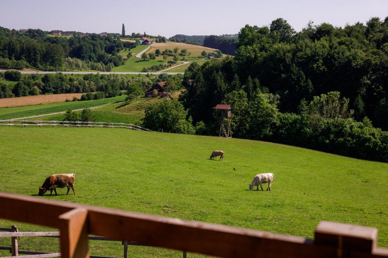 Tourist Farm Firbas Acomodação com café da manhã Cerkvenjak Exterior foto